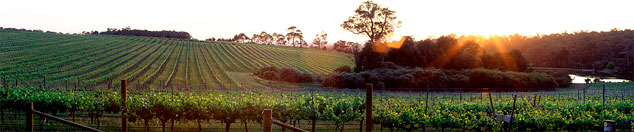 winery vineyards Margaret River wine region