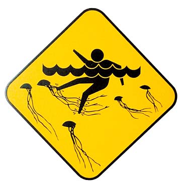 box jellyfish in broome logo