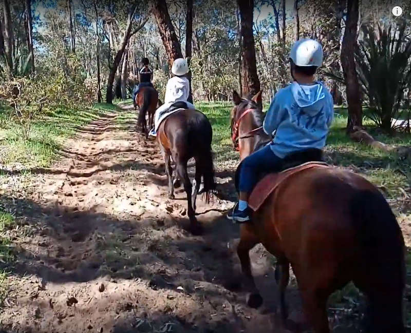 Horse riding Perth